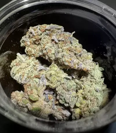 Semi Femminizzati Runtz x Layer Cake (Barney's Farm)