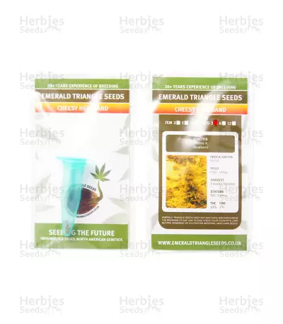 Cheesy Headband regular seeds
