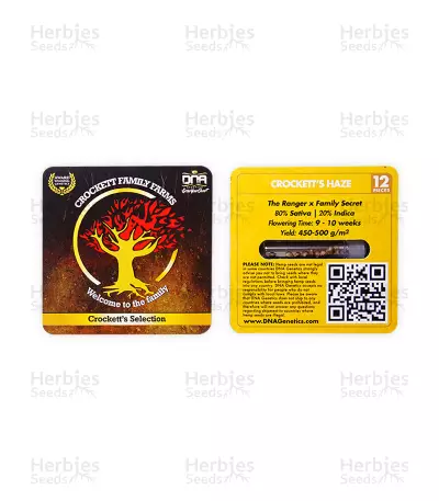 Crockett's Haze Seeds