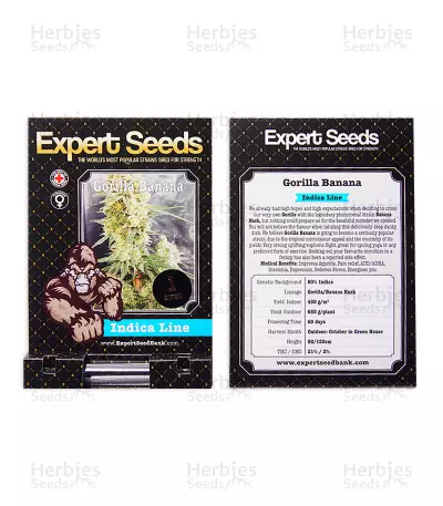 Gorilla Banana (Expert Seeds) feminized seed