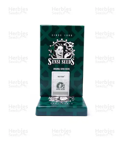 Hash Plant regular seeds (Sensi Seeds)