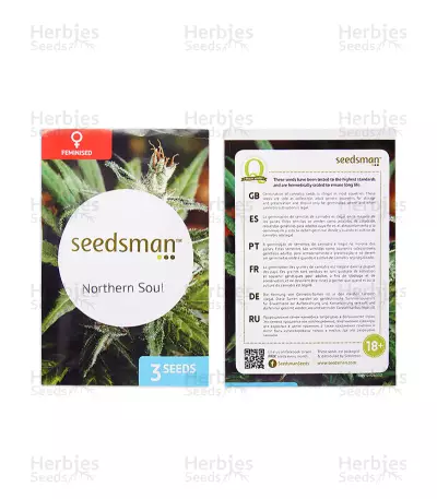 Northern Soul (Seedsman Seeds) Cannabis-Samen
