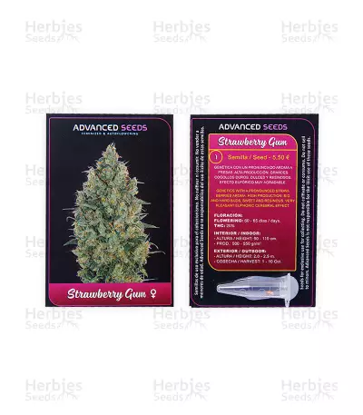 Strawberry Gum feminized seeds
