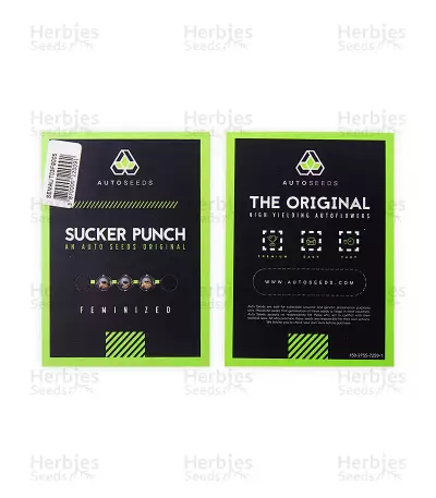 Sucker Punch Auto Seeds