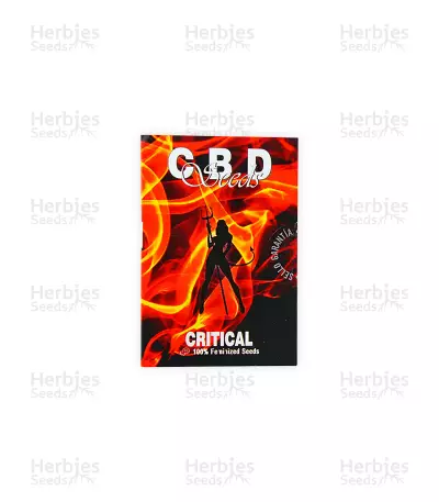 Critical (CBD Seeds)
