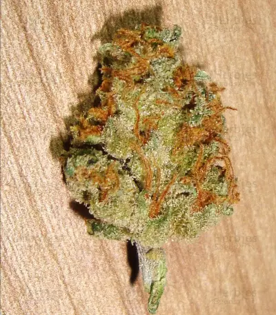 Silver Bubble (Reserva Privada)