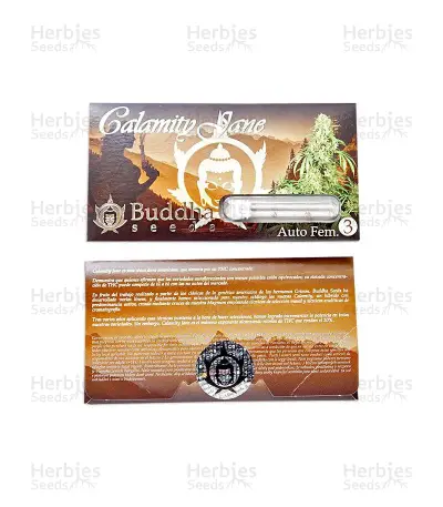 Calamity Jane Auto Seeds