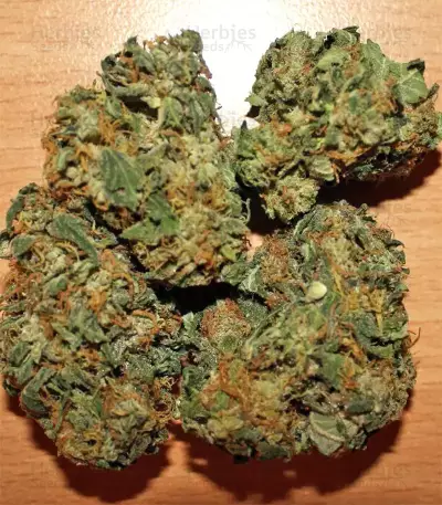 Fruity Juice Seeds