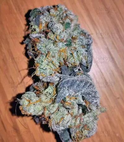 Ayahuasca Purple