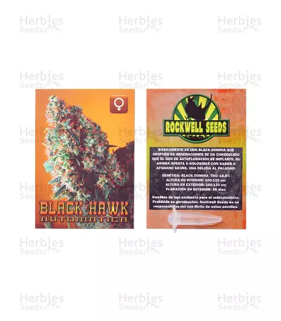 Graines de cannabis Black Hawk Auto (Rockwell Seeds)