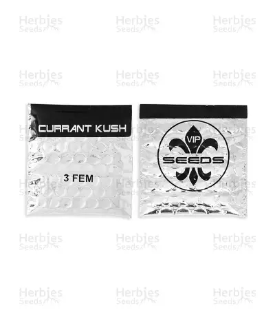 Currant Kush Seeds