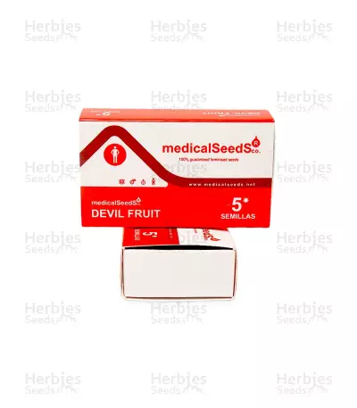 Devil Fruit Seeds