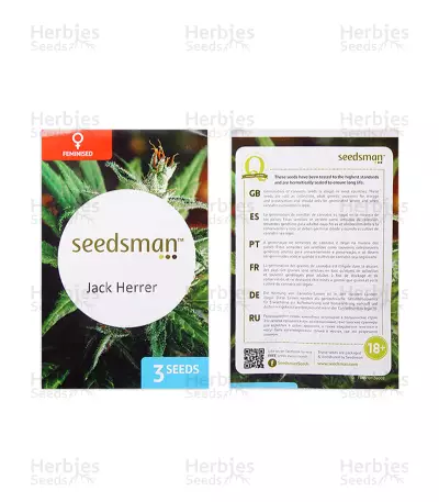 Jack Herer feminized seeds (Seedsman)