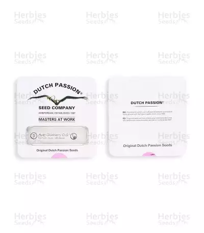 Graines de cannabis Auto Glueberry O.G. (Dutch Passion)