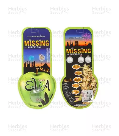 Missing In Barcelona (Eva Seeds)