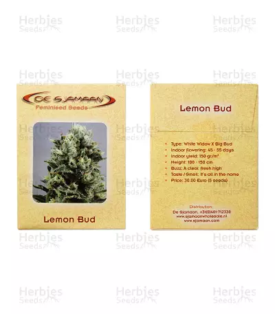 Lemon Bud feminized seeds (De Sjamaan Seeds)