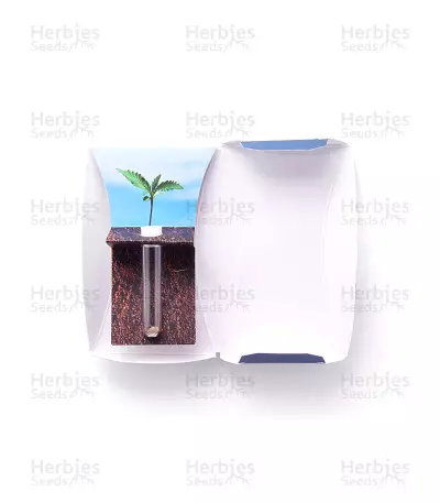 Destroyer Seeds