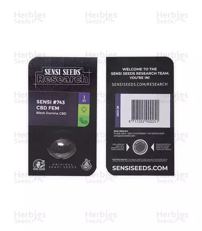 Sensi #743 CBD feminized seeds