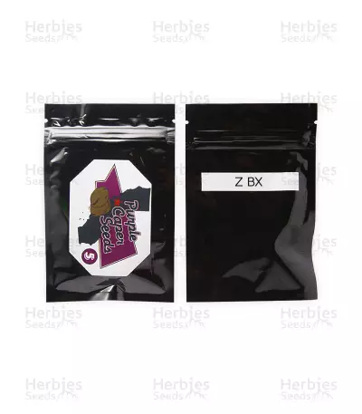 Graines de cannabis Z BX regular (Purple Caper Seeds)
