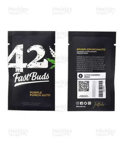 Purple Punch Seeds (Fast Buds)