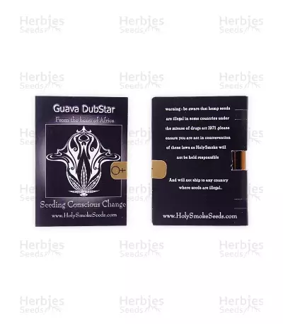 Guava Dubstar feminized seeds