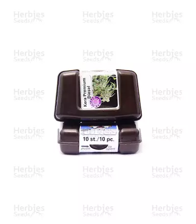 Premium Diesel feminized seeds