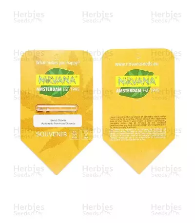Swiss Cheese Automatic Seeds