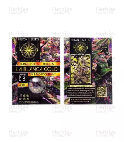 La Blanca Gold Auto (Vision Seeds)