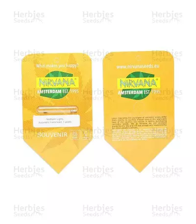 Northern Light Automatic Seeds