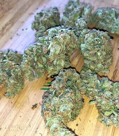 Amnesia Seeds (Seedstockers)