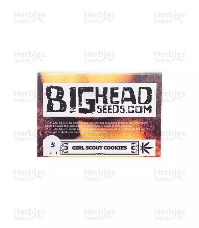 Girl Scout Cookies (Big Head Seeds)