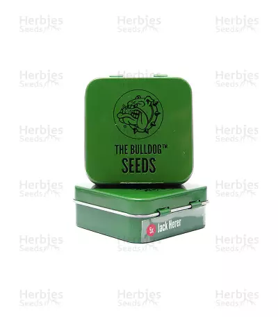 Jack Herer Seeds (The Bulldog Seeds)