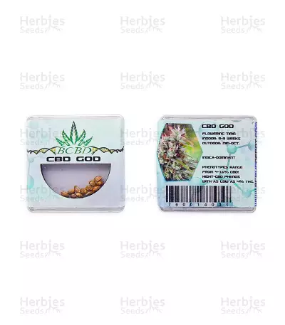 CBD God Seeds