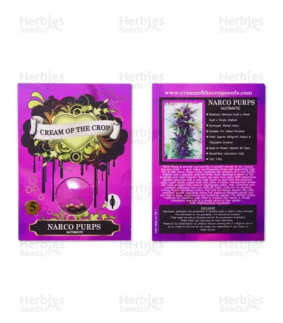 Narco Purps Auto Seeds