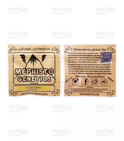 4 Assed Monkey Seeds