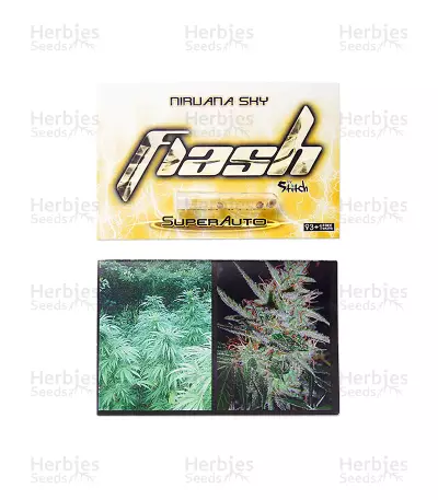 Nirvana Sky Auto (Flash Seeds)