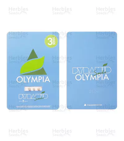 Olympia Seeds