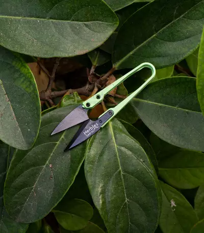 Pruning Shears