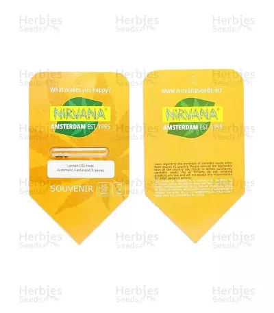Graines de cannabis Lemon OG Haze Auto (Nirvana Seeds)