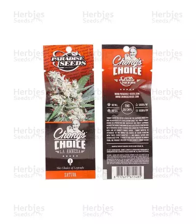 L.A. Amnesia Seeds