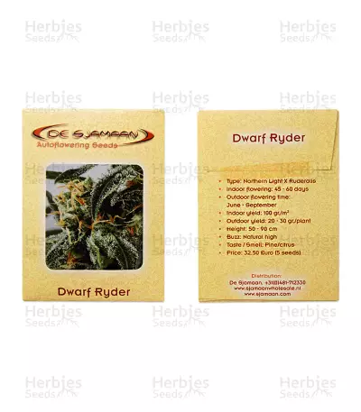 Graines de cannabis Dwarf Ryder Auto (De Sjamaan Seeds)