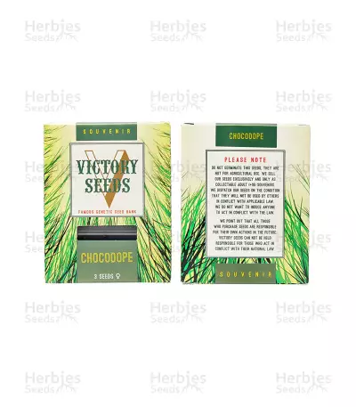 Chocodope (Victory Seeds)