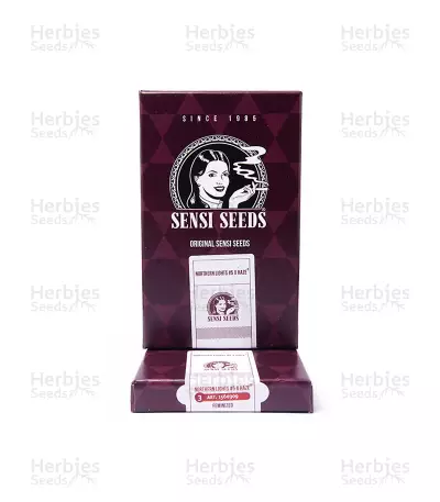 Northern Lights #5 X Haze feminized seeds