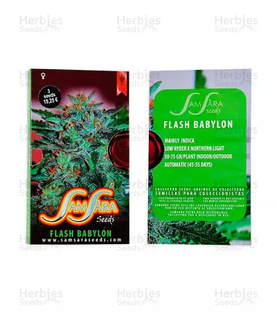 Semi auto femminizzati Flash Babylon