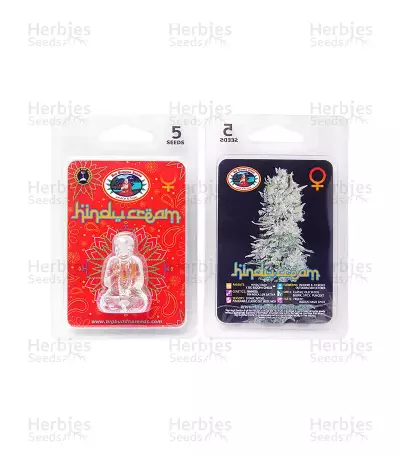 Hindu Cream (Big Buddha Seeds)