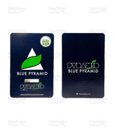 Graines de cannabis Blue Pyramid (Pyramid Seeds)