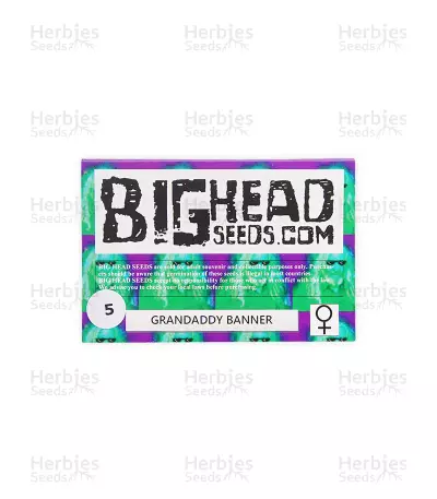 Grandaddy Banner Seeds