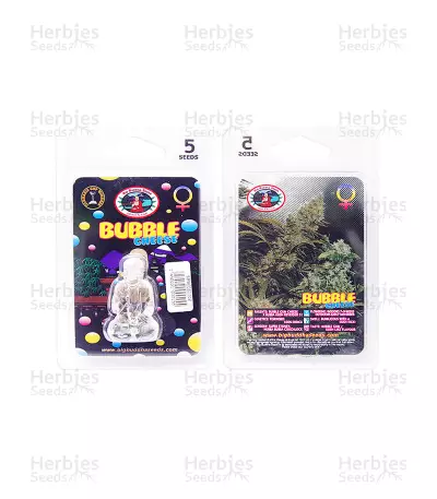 Bubble Cheese Seeds