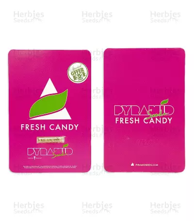 Fresh Candy (Pyramid Seeds)