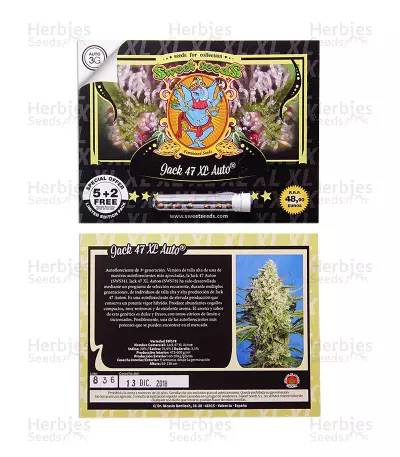 Jack 47 XL Auto Seeds